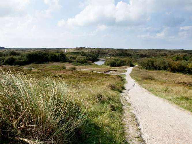 Schoorlse Duinen