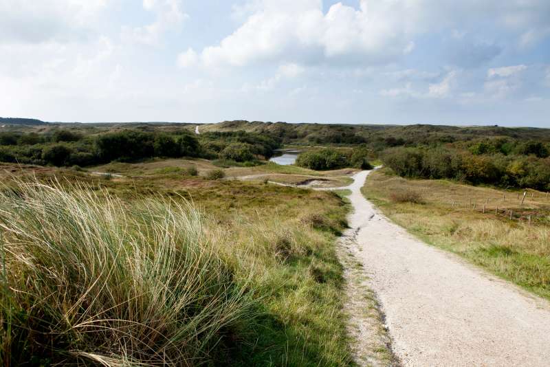 Düne Düne