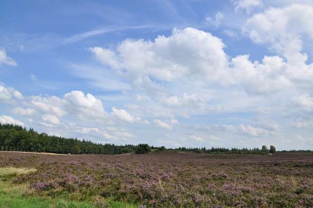 Aan Veluwe - Aan Veluwe -
